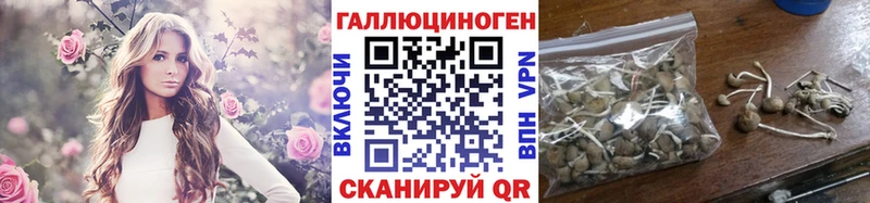 где купить наркоту  Малая Вишера  hydra ссылка  Галлюциногенные грибы мухоморы 