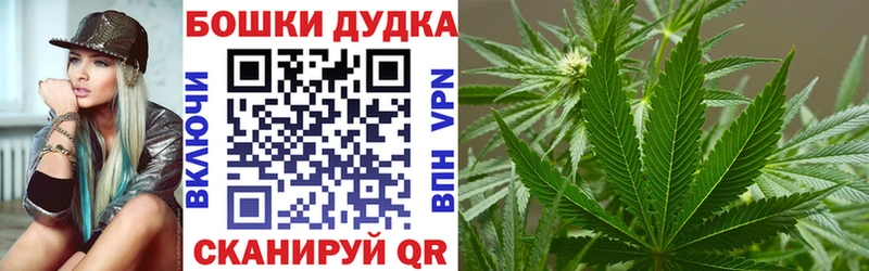 Конопля SATIVA & INDICA  Малая Вишера 